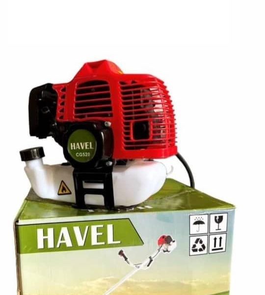 علف زن دوشی دو زمانه مدل CG520 هاول Havel