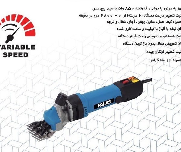پشم زن پالاس